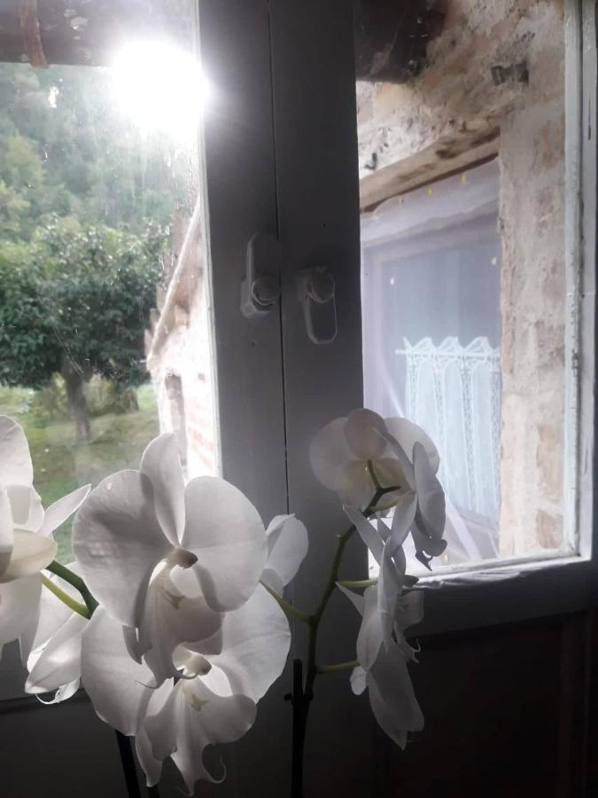 Bed and Breakfast Il giardino dei sogni Montefortino Esterno foto